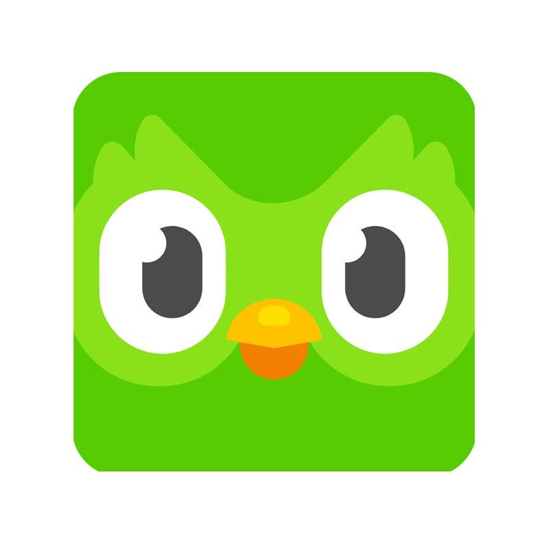 Canva Pro